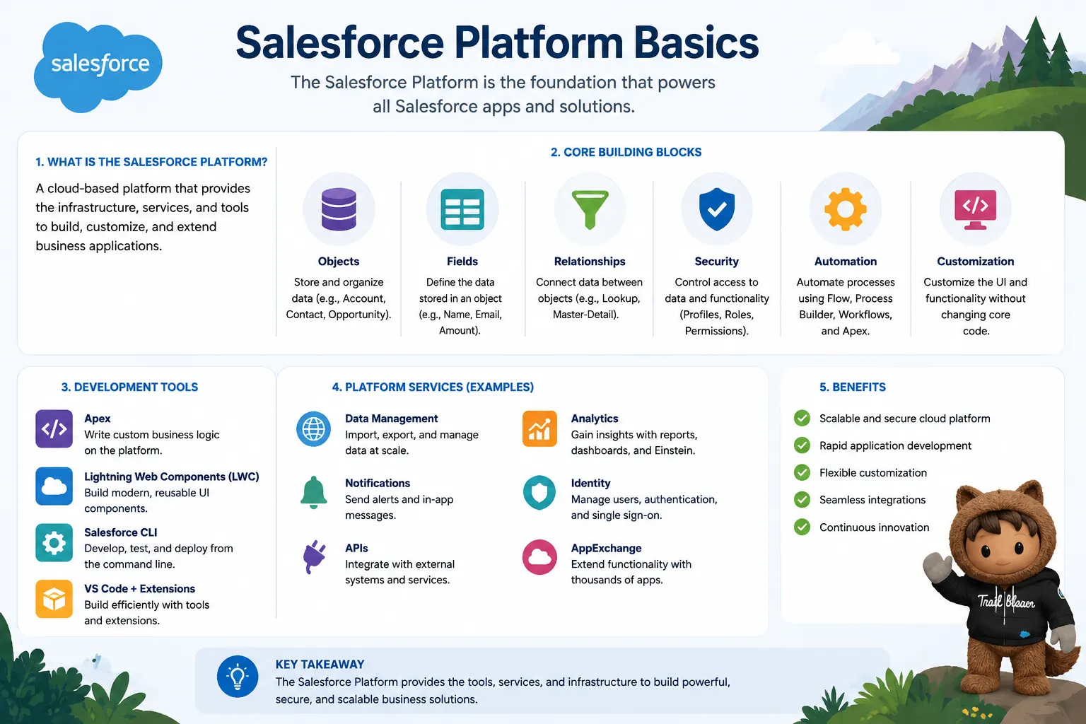 Salesforce Platform Basics