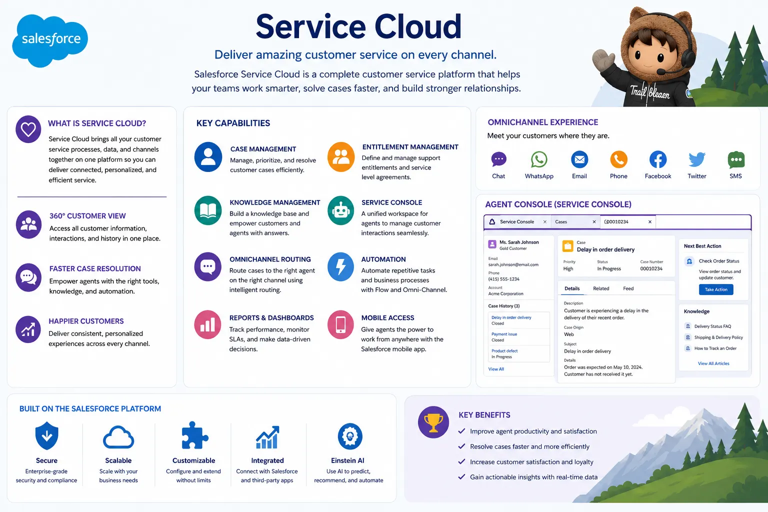 Service Cloud